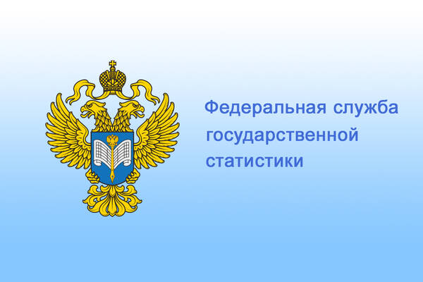 Федеральная служба государственной статистики (Росстат): Экономист-статистик в макроэкономике