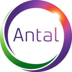Antal: Специалист по риск-менеджменту (со знанием корейского языка)