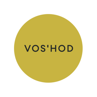 Vos’hod: Финансовый директор